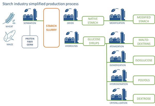 Starch industry simplified production process