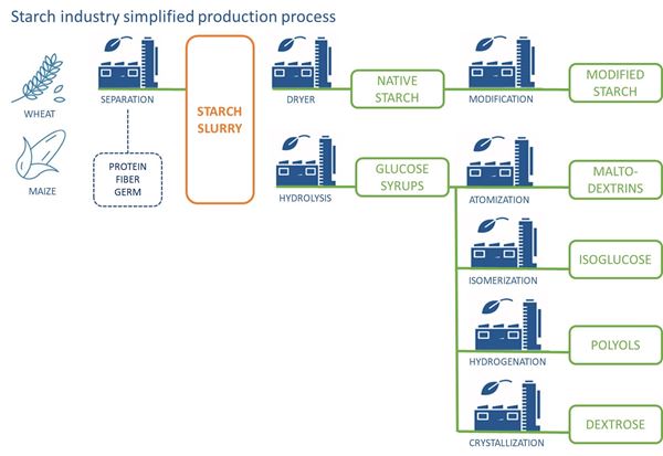 Starch industry simplified production process