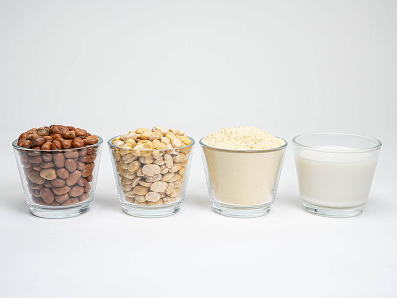 NUTRALYS® Fava S900M, Fava Bean Protein Isolate