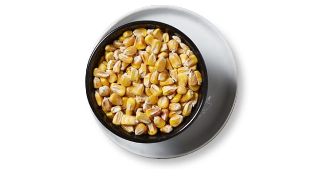 Roquette plant-based protein ingredient, 2016-08-18