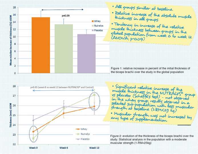 Impact of supplementation with Nutralys 2