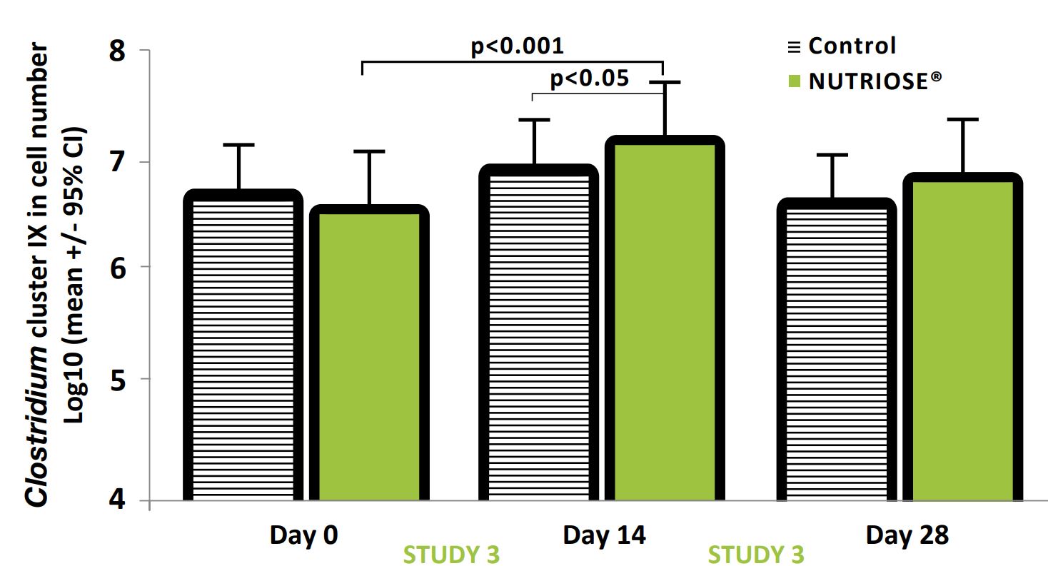 Clostridium cluster IX