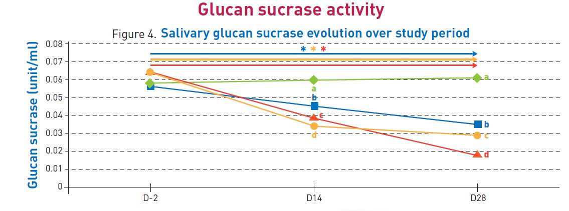 Glucan sucrase activity