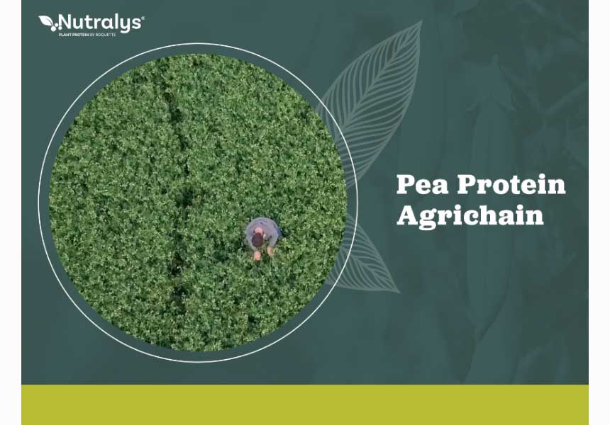 Pea Protein Agrichain