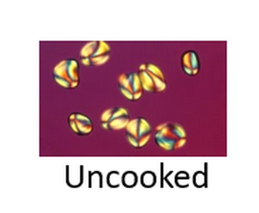 uncooked