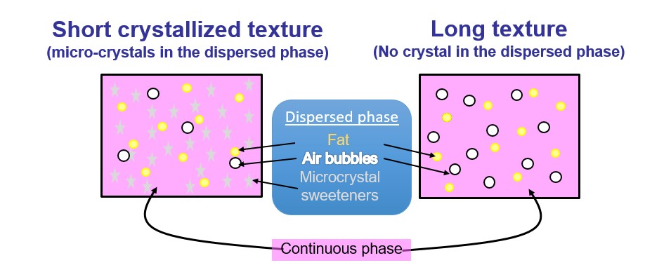Chew internal structure