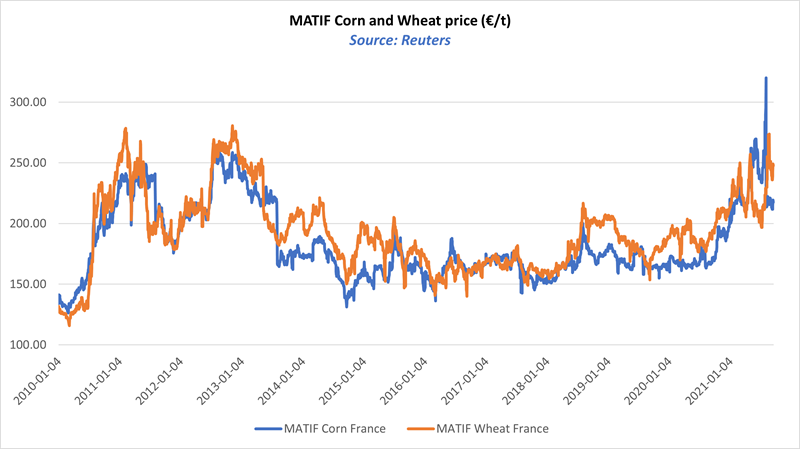 Matif graph for intro_1.png