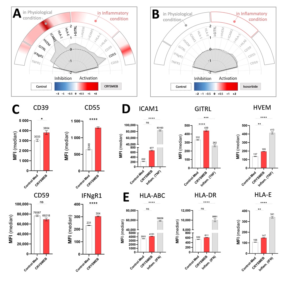 immuno-profiling-huvec.jpg