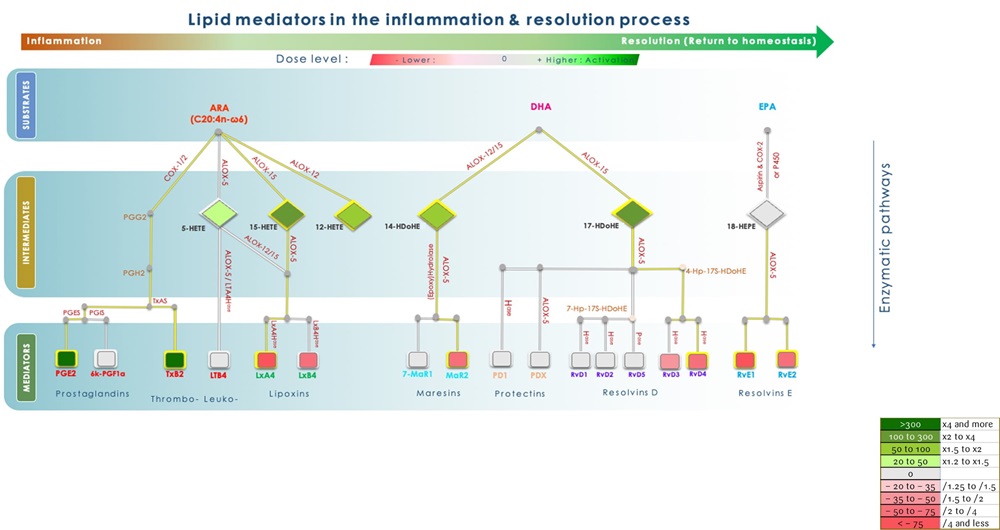 metabolic-pathway-modulation.jpg