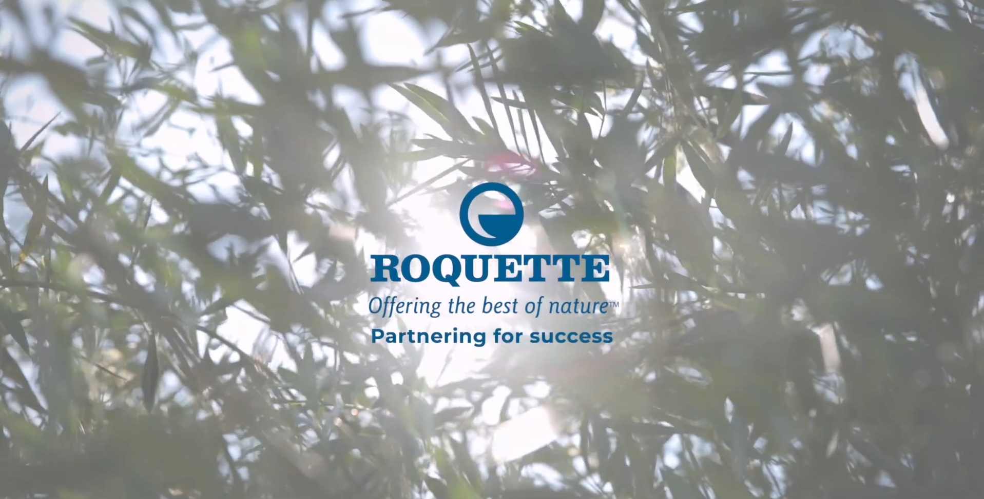 partnering for success