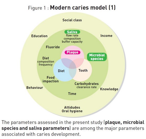Modern caries model