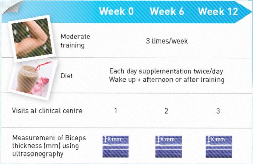Impact of supplementation with Nutralys