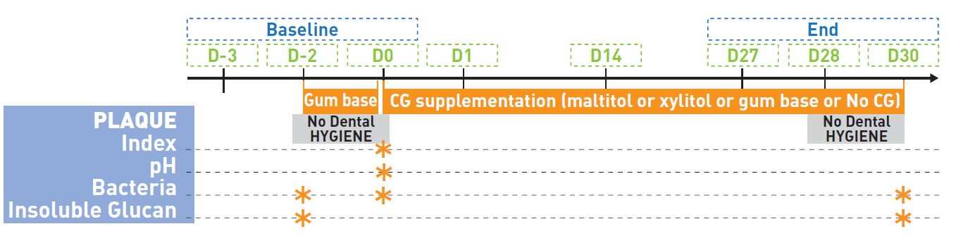 Effect of maltitol or xylitol