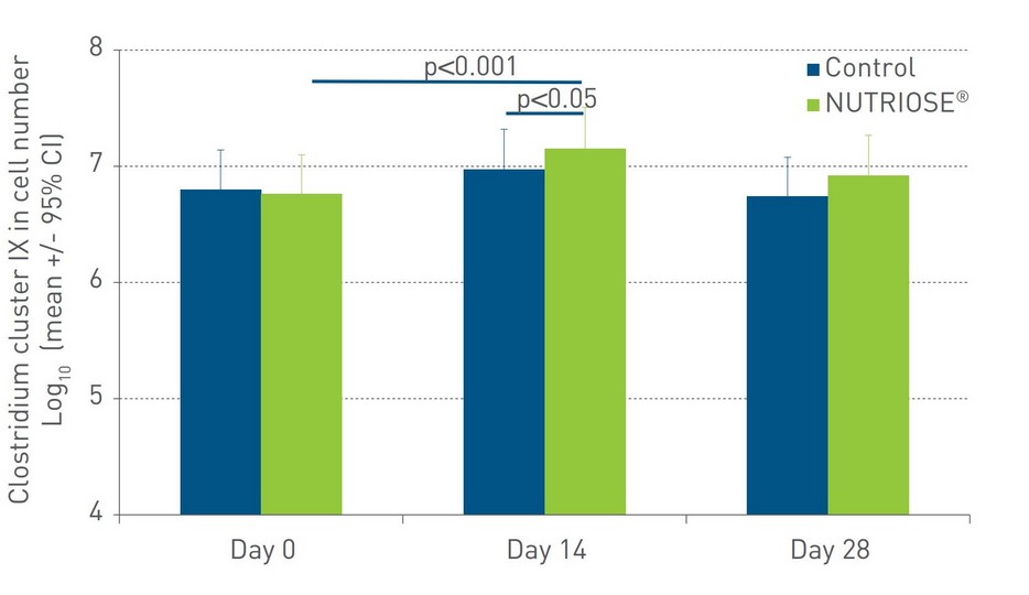 NUTRIOSE The healt benefits Clostridium cluster IX in cell number