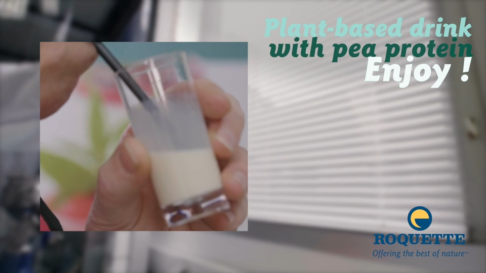 pea protein ready to drink beverage