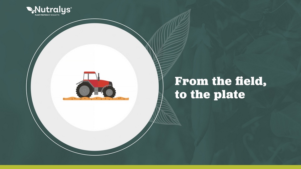 Pea Story from Field to Table