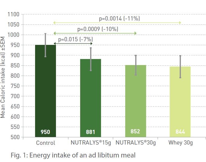 Energy intake control