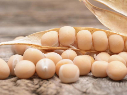 yellow-pea