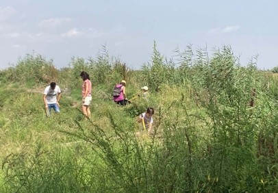 Volunteers cleaning grassy area of Albufera Natural Park in Spain.