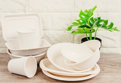 Stack of biodegradable plates, cups, and bowls next to a green potted plant on a wooden table.
