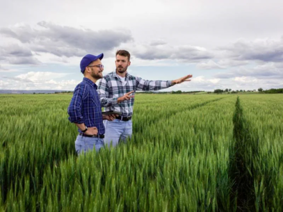 Two men are talking in a wheat field