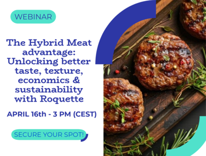 Hybrid Meat Webinar