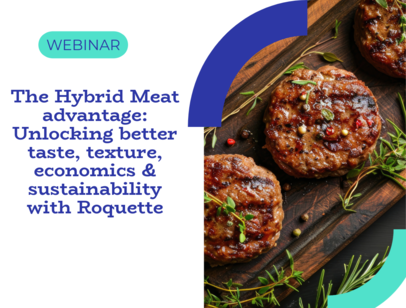 Hybrid Meat Webinar Preview