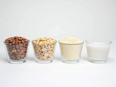 Favas shelled, favas in powder and fava milk