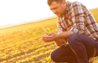 a farmer in his field