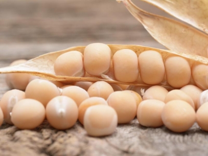 Yellow peas