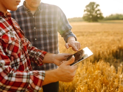 Two farmers in a wheat filed looking at a tablet