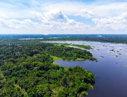 Aerial view of a rainforest and winding river under a cloudy blue sky.