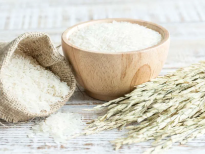 Bowl of raw rice with corn cobs placed on a table