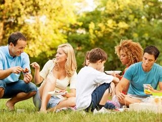 A family having a picnic on the grass