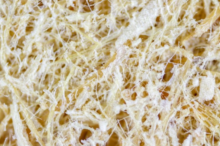 Vue rapprochée des fibres de cellulose, mettant en évidence leur texture naturelle et fibreuse.