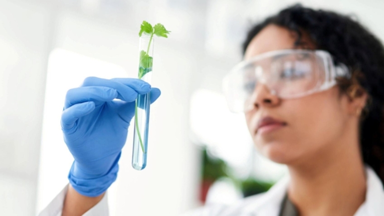 Scientist with a plant in a test tube