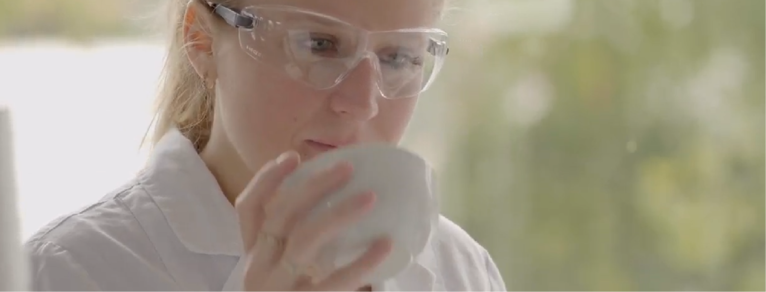 Beaute by Roquette CD 102 Header