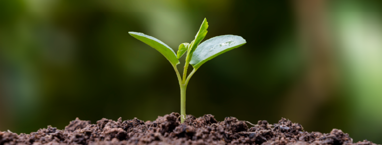 Bio-innovation: Rethink Nature