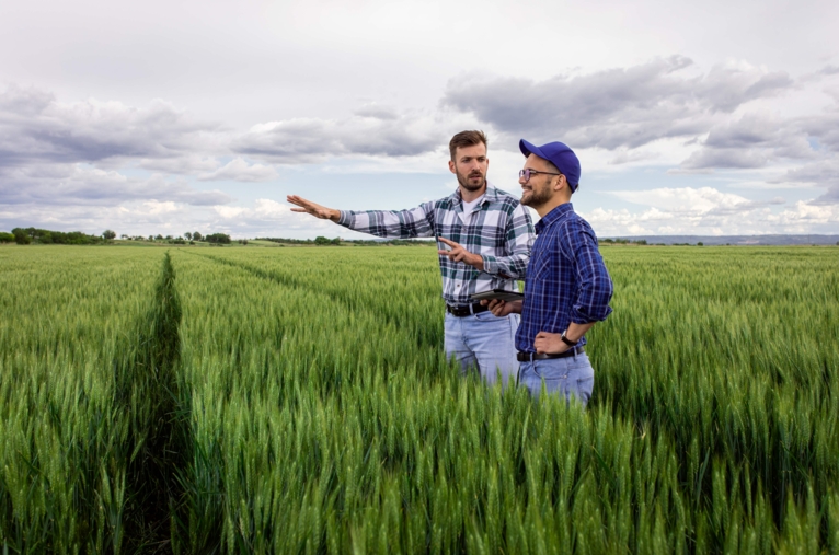 Two farmers discussing in a field
