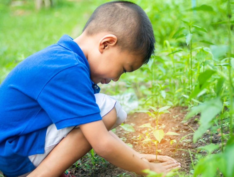 Little boy with a blue t-shirt planting a plant in the ground