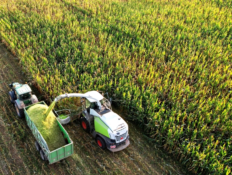 Corn harvest aerial view