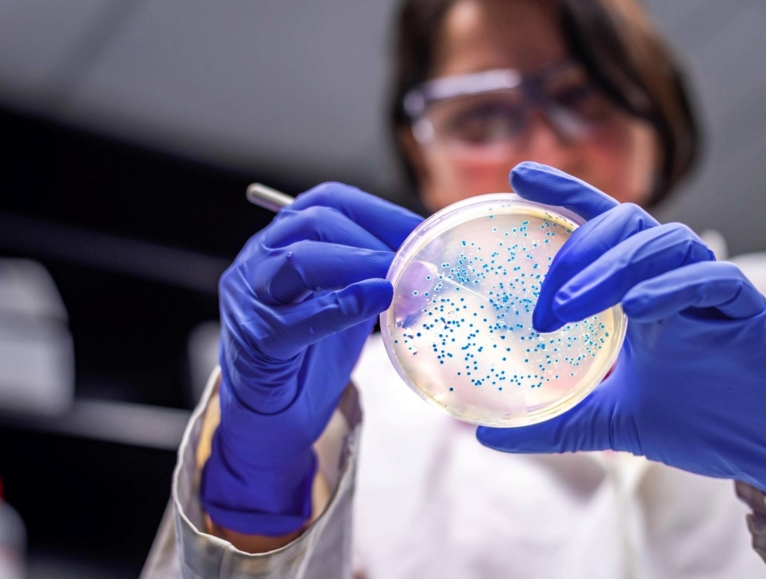 Woman looking at micro-organism